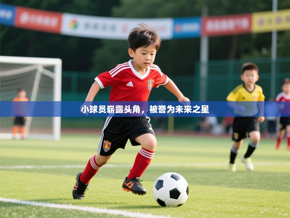小球员崭露头角,被誉为未来之星 小球员崭露头角,被誉为未来之星