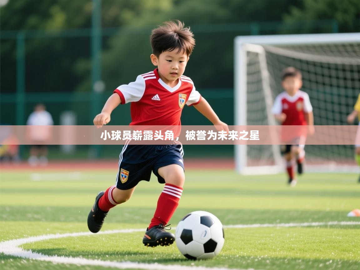 小球员崭露头角,被誉为未来之星 小球员崭露头角,被誉为未来之星