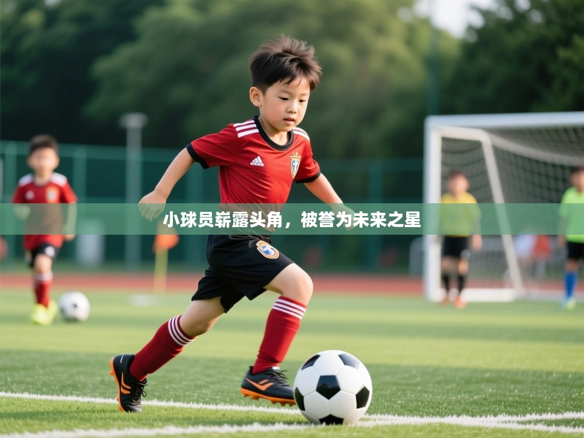 小球员崭露头角,被誉为未来之星 小球员崭露头角,被誉为未来之星