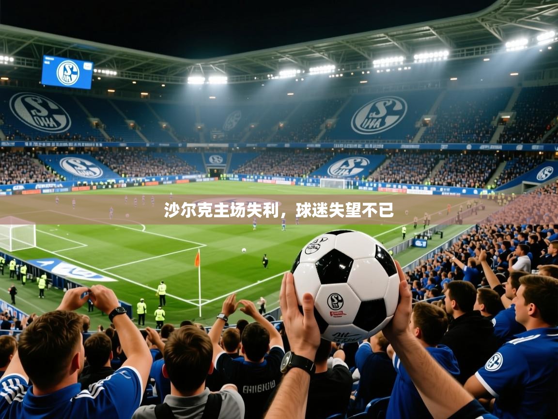 沙尔克主场失利,球迷失望不已 沙尔克主场失利,球迷失望不已