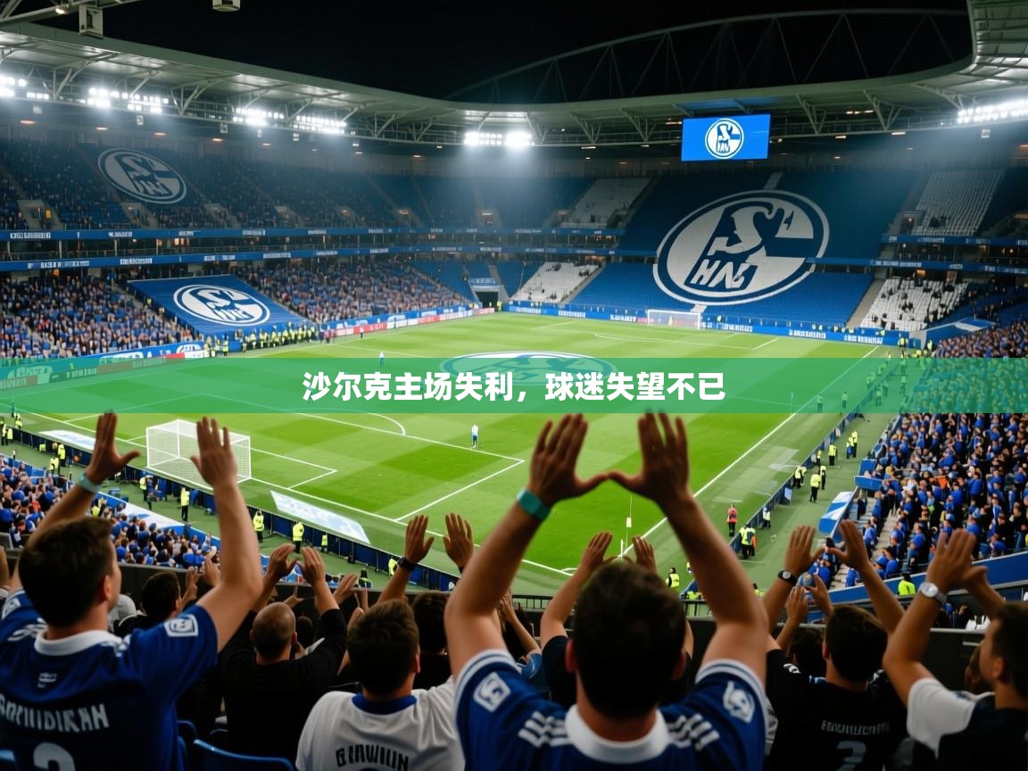 沙尔克主场失利,球迷失望不已 沙尔克主场失利,球迷失望不已