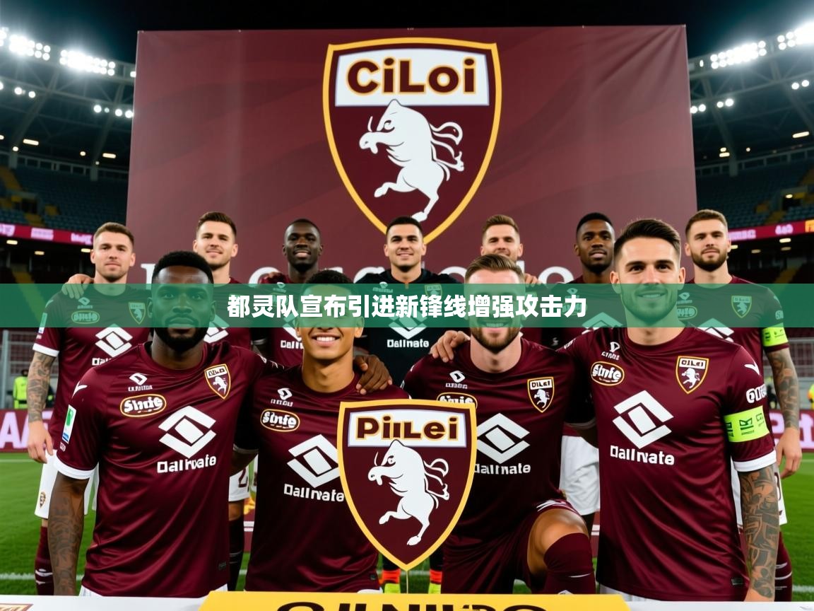 都灵队宣布引进新锋线增强攻击力