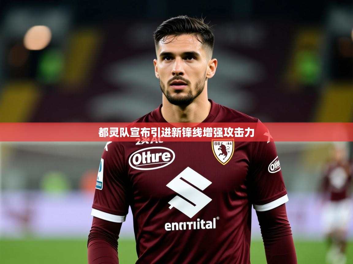 都灵队宣布引进新锋线增强攻击力