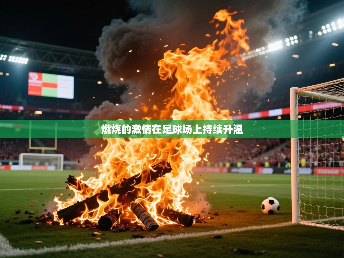 燃烧的激情在足球场上持续升温 燃烧的激情在足球场上持续升温